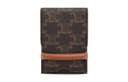 CELINE Triomphe Canvas With Calfskin Bag Accessory Tawny