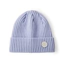 Champion Beanies