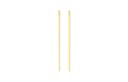 Beams Brass, Titanium Earrings Gold