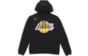 Nike Sweatshirts Hooded Moderate Regular