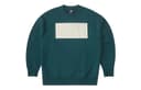 THE NORTH FACE Urban Exploration Sweatshirts Blue Crew Neck Moderate Regular