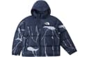 THE NORTH FACE 1996 Retro Nuptse Jacket