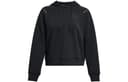 Under Armour Sweatshirts Black Hooded Moderate Straight Fit