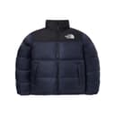 THE NORTH FACE 1996 FW25 Eco Nuptse Down Jacket