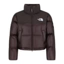 THE NORTH FACE NOVELTY FW25 Down Jacket