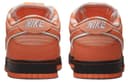 Nike SB Dunk Concepts Orange Lobster