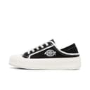 Dickies Canvas