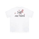 Arcteryx KRAGG TShirts White Light (Runs Large, Recommend Ordering One Size Down) Crew Neck Thin