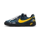 Nike Terra Manta Lowtop Black, White, Gray