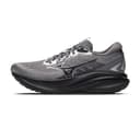 Mizuno Lowtop Carbon Light Gray/Sauce Black/Silver