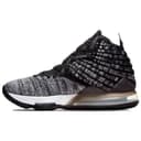 Nike Lebron 17 EP In The Arena