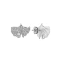 EMPORIO ARMANI Stud Earrings