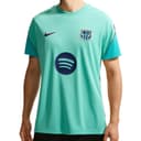 Nike DriFit Strike Soccer Jerseys Frost Green/Cactus Green/Royal Blue/Royal Blue Crew Neck Moderate