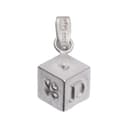 DIOR Charms & Pendants