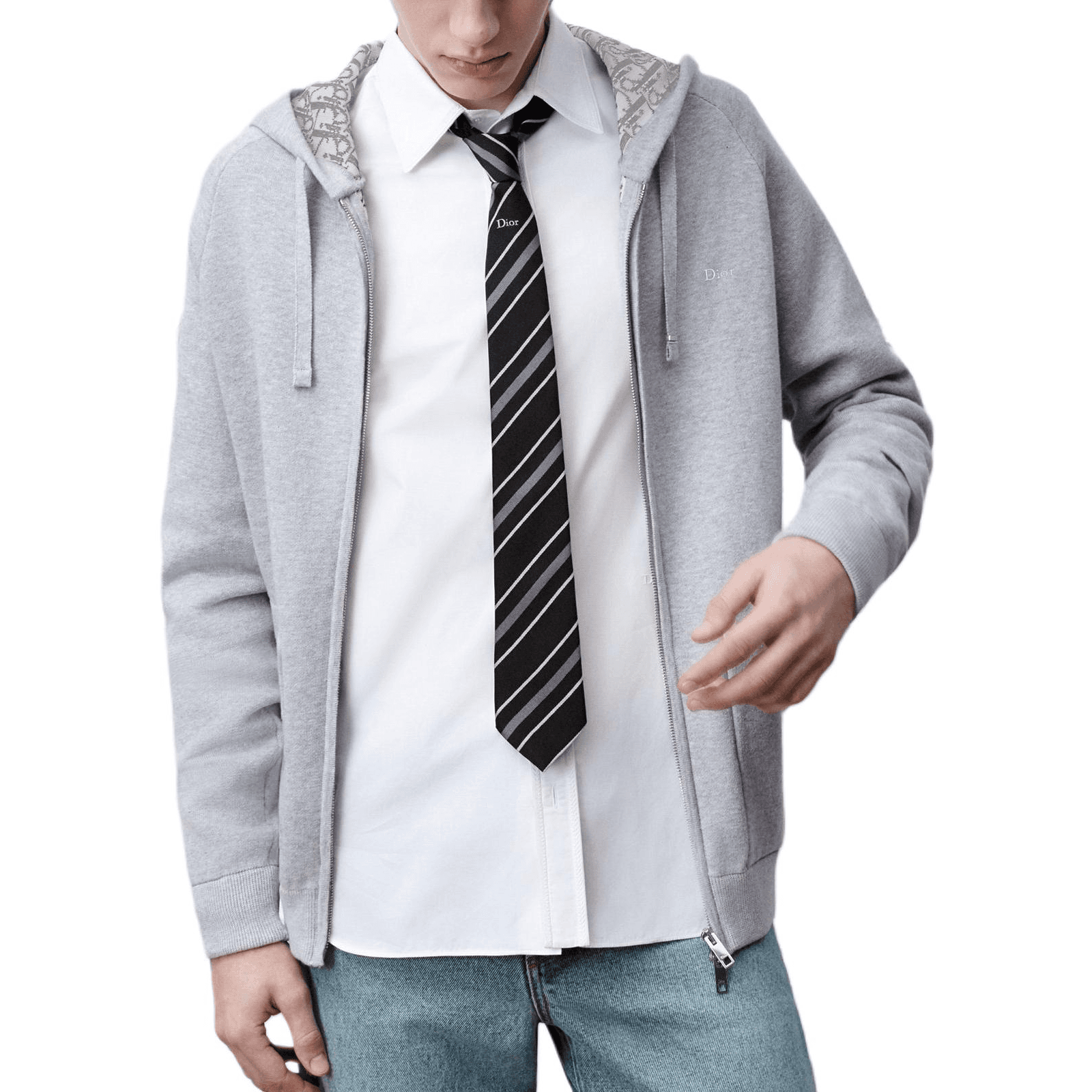 DIOR OBLIQUE SS26 Sweatshirt Comfort Gray