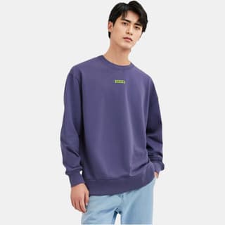 Levis Sweatshirts Purple Crew Neck Moderate Regular