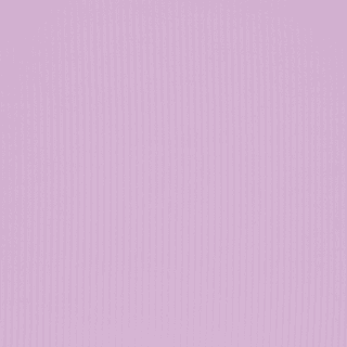 Skims Valentine's Day Collection T Shirt SUGAR PLUM/Sugar Plum