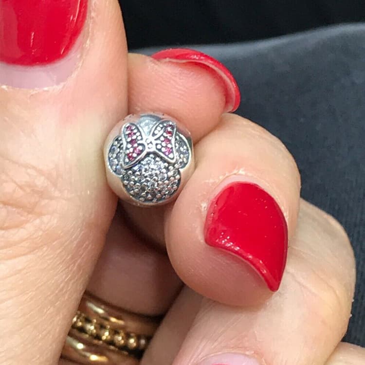 Pandora Sterling Silver Accessories