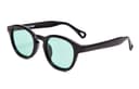 Black Frame with Green Polarized Lens