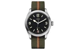 TUDOR Rogue Like Collection Automatic Mechanical Movement Watch 39mm Black Dial Matte Steel Watch Case