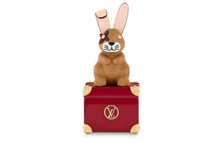 LOUIS VUITTON Storage Box Hard Case Red/Brown