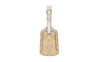 COACH Canvas With Bag Charm Bag Merch Khaki