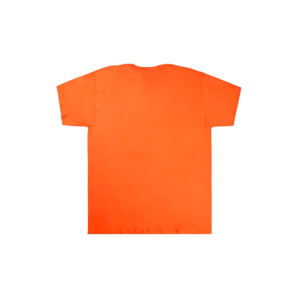 Champion T Shirts Orange+Jasper Crew Neck Moderate Straight Fit