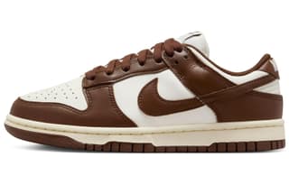 Nike Dunk 'Surfaces In Brown Sail' Chocolates Synthetic Comfortable