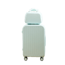 Mint GreenCombo Luggage Set