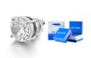 Magnetic Clipon Earrings Single Piece[No Piercing]