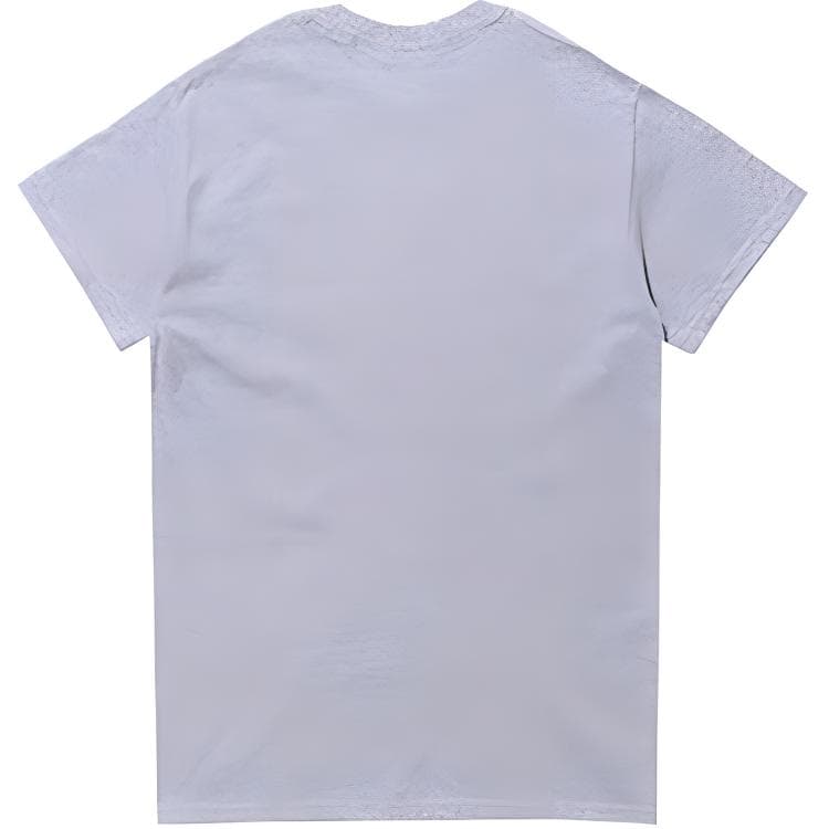 Thrasher T Shirt US Version Gray Red