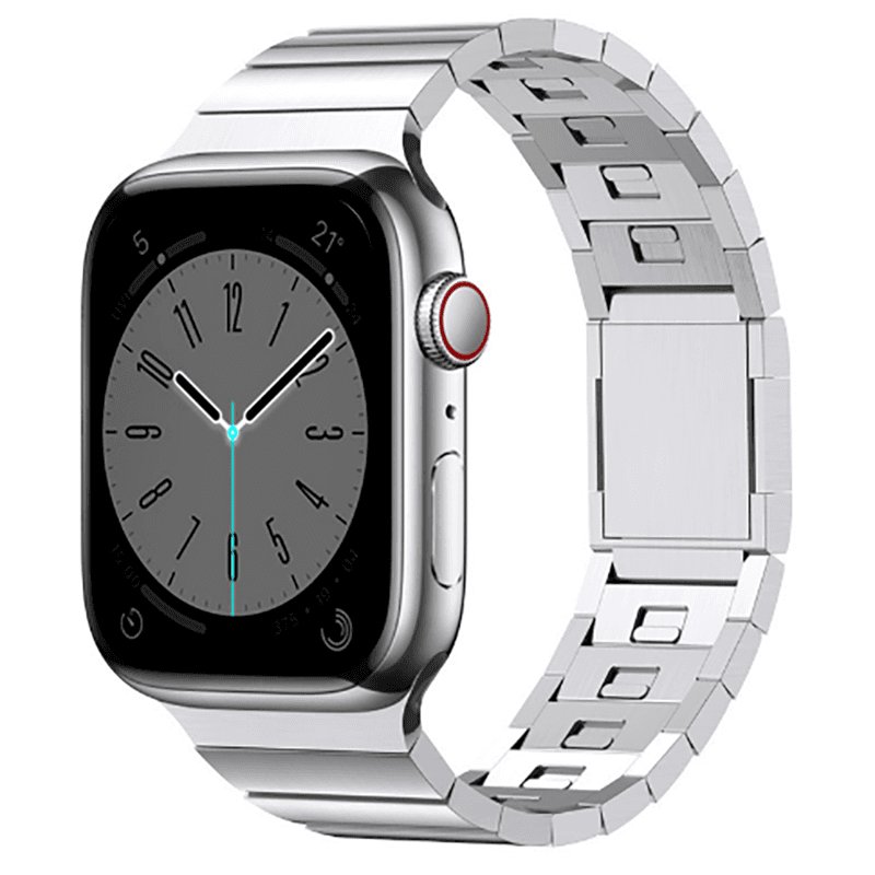 Biaodaige Watch Band Apple Compatibility Made Of Steel QuickRelease Magnetic Clasp[Silver]
