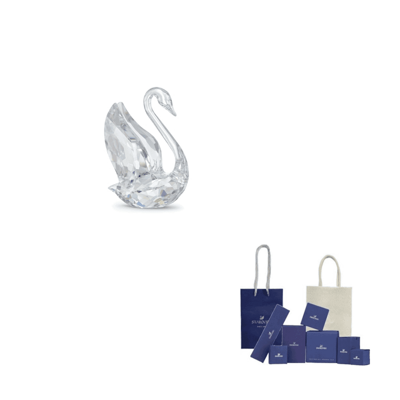 Swarovski ICONIC SWAN Accessories Silver Silver