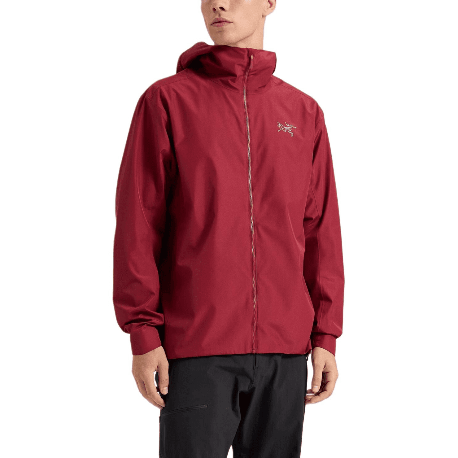 Arcteryx Mens Solano Hoody Fleece Jacket