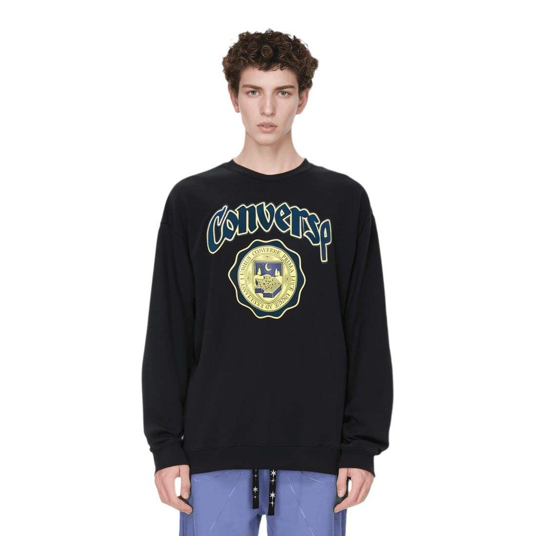 Converse Sweatshirts Black Crew Neck Moderate Regular