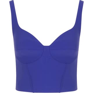 Elisabetta Franchi Camisole Blue