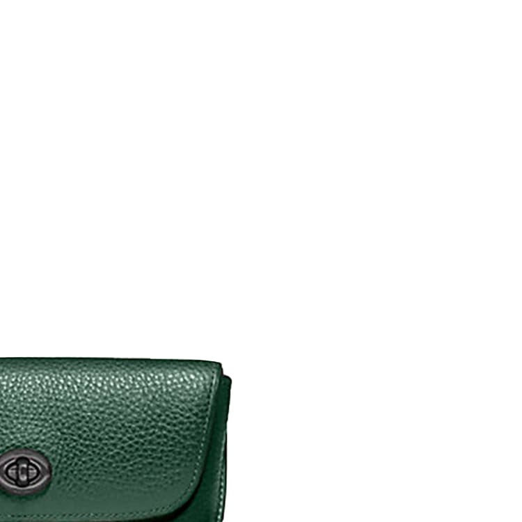 COACH Sunglass Case Eyeglass Pouches Jasper