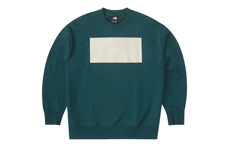 THE NORTH FACE Urban Exploration Sweatshirts Blue Crew Neck Moderate Regular Blue