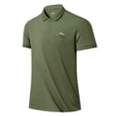 Platane Green