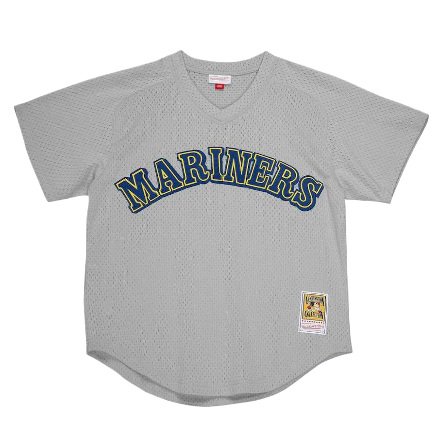 Mitchell & Ness Sports Gray