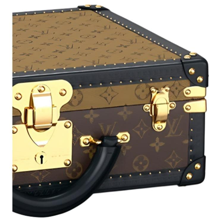 LOUIS VUITTON Coated Canvas Handbag Hard Case Storage Box Medium Brown