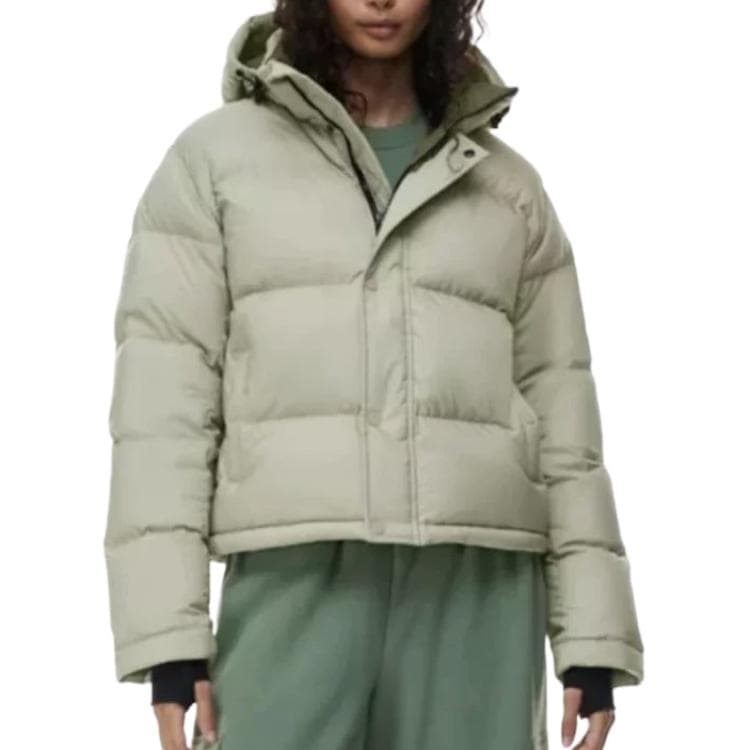ARITZIA Down Jackets Hooded (Nondetachable) Moderate Other