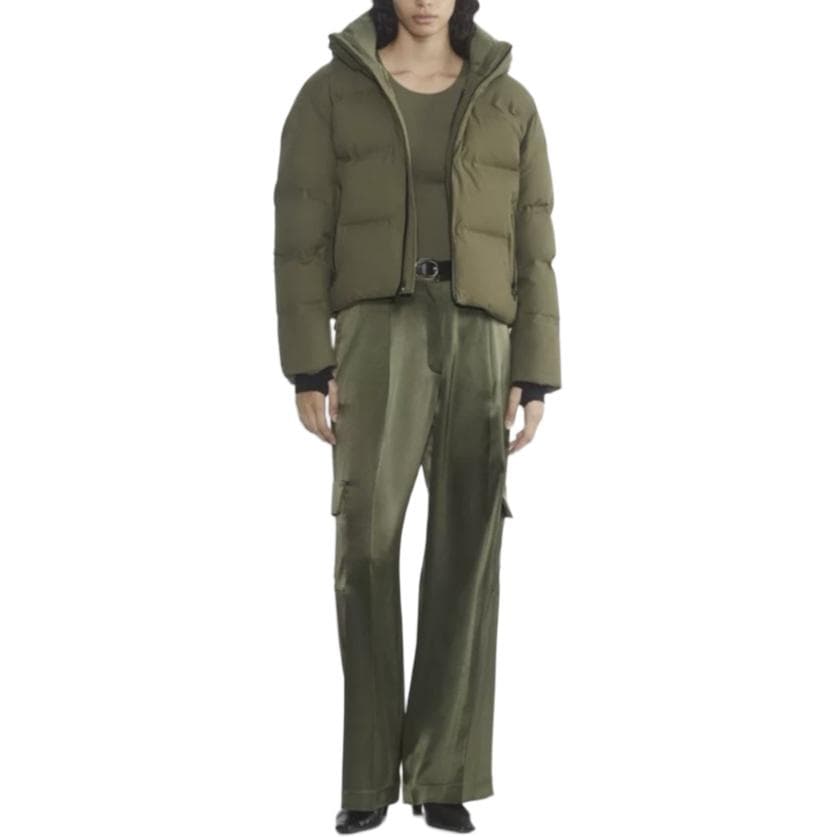 ARITZIA Down Jackets Hooded (Nondetachable) Moderate Other