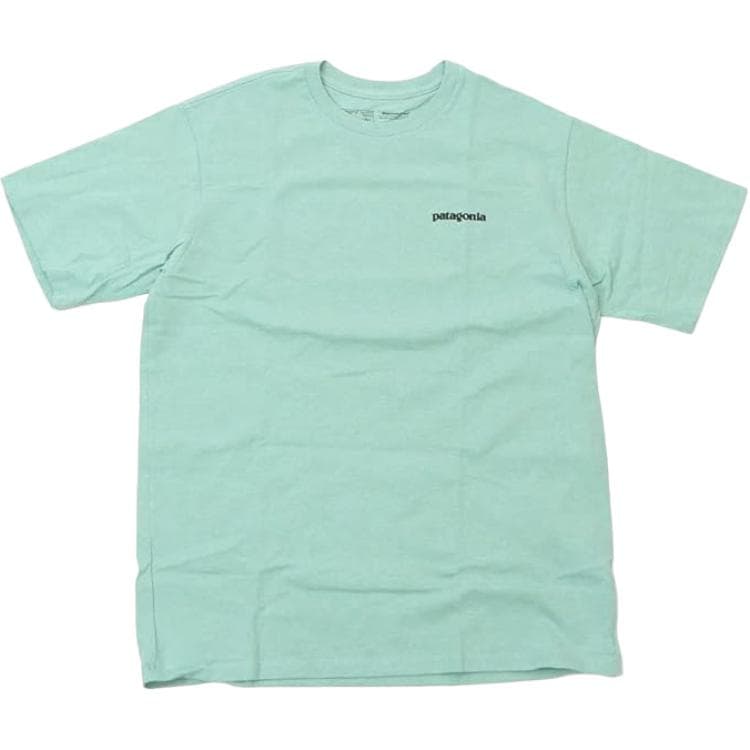 Patagonia Responsibili Tee T Shirt