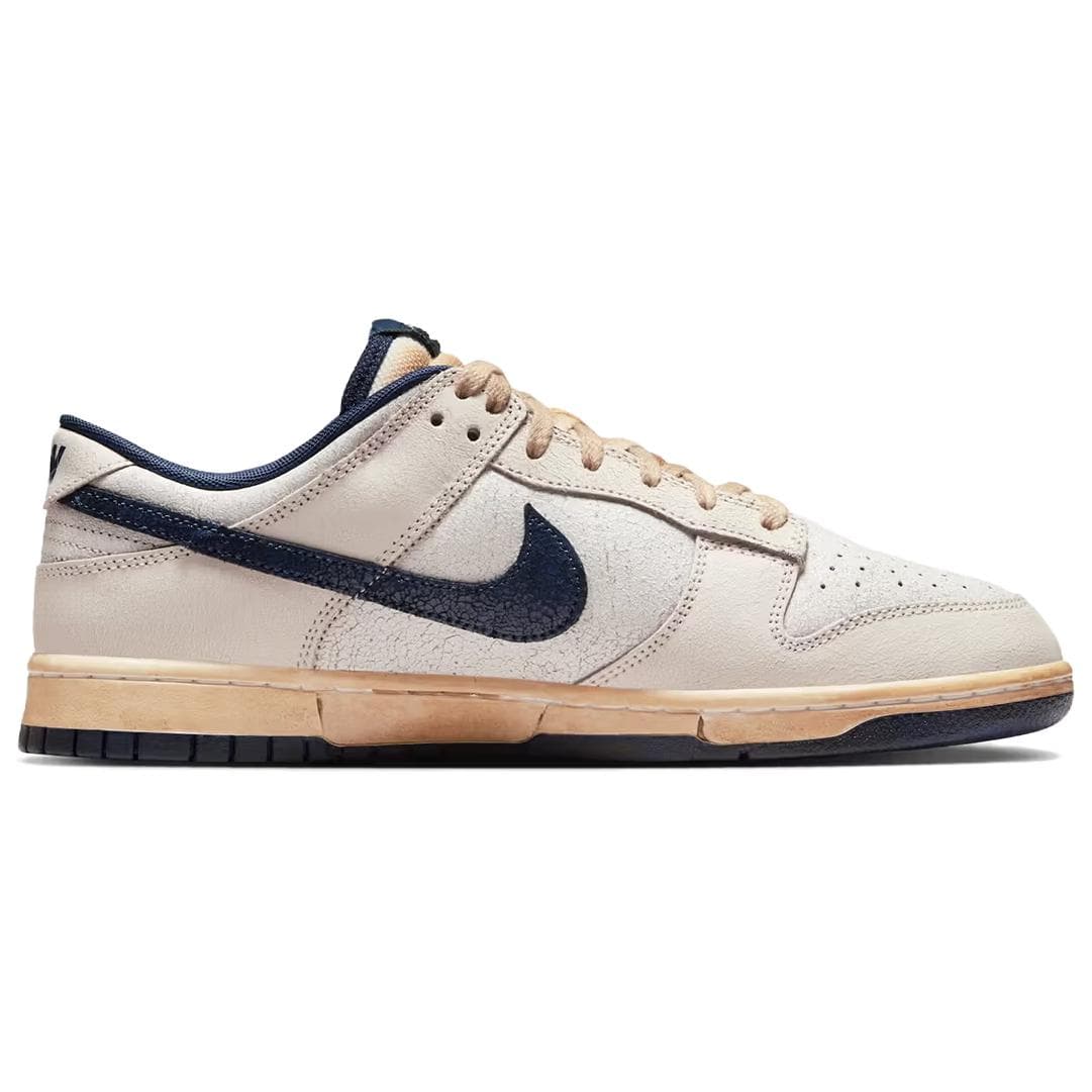 Nike x Stranger Things Dunk Gray Blue