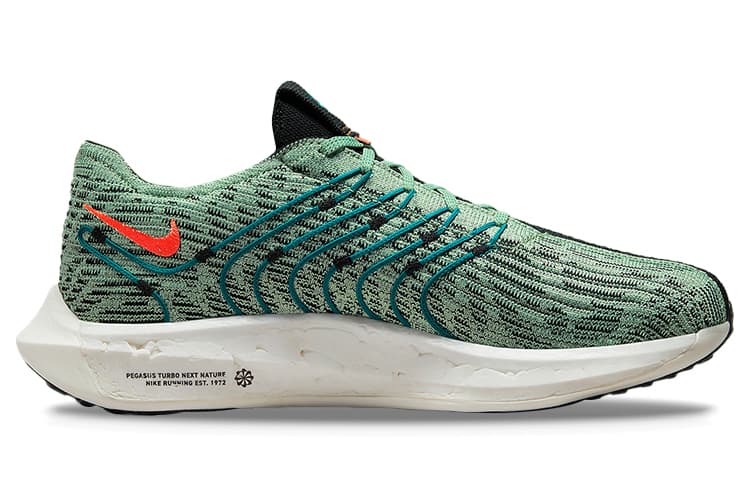 Nike Pegasus Turbo Next Nature 5 Borough Tour