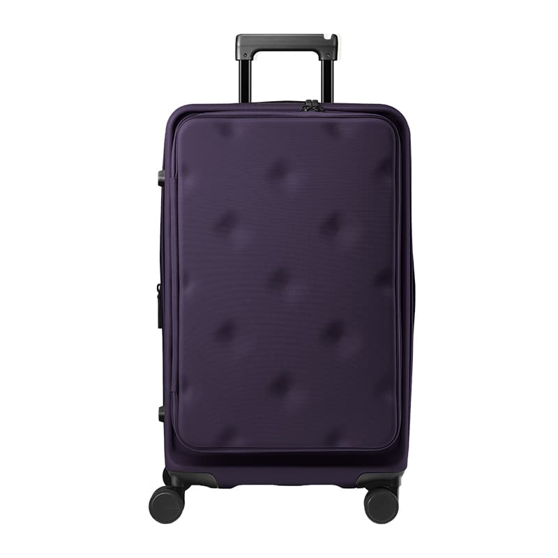 Plum Purple Color[3]