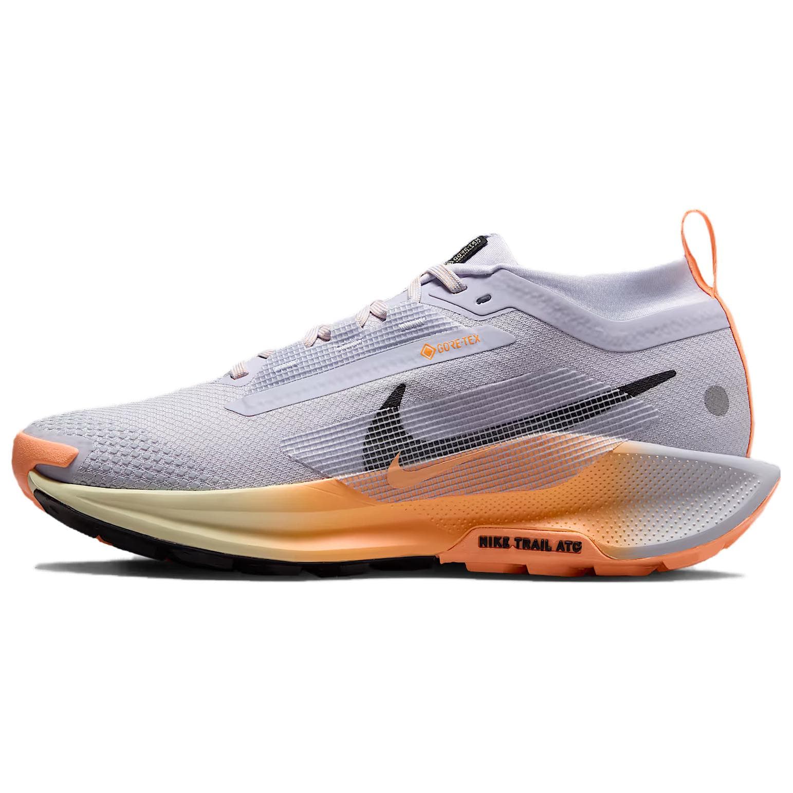 Nike Pegasus Trail 5 Gray