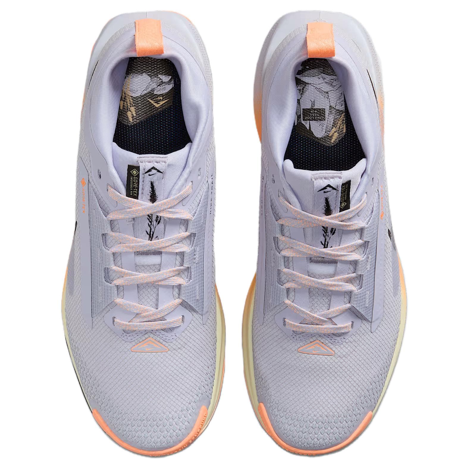 Nike Pegasus Trail 5 Gray