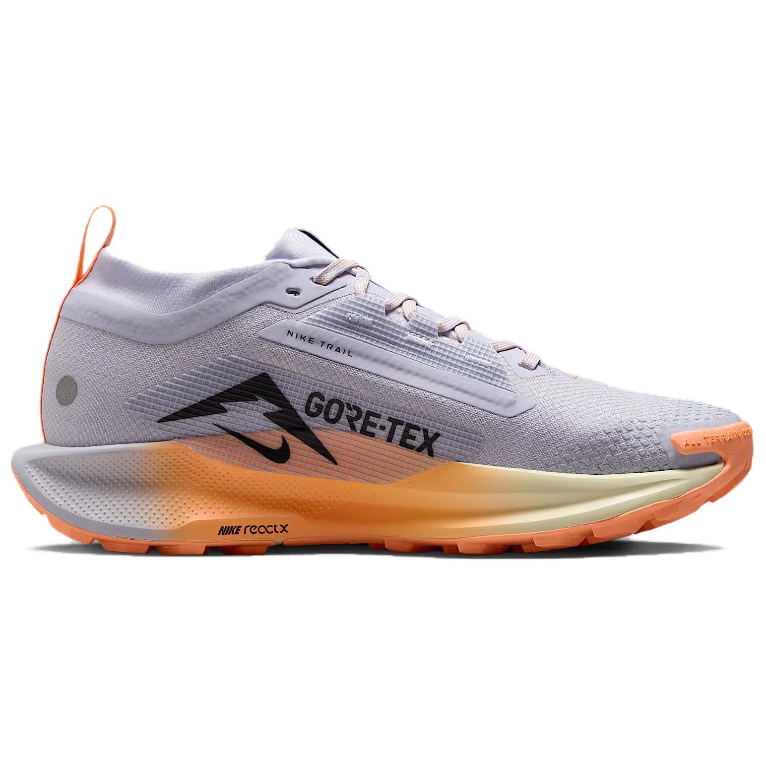 Nike Pegasus Trail 5 Gray
